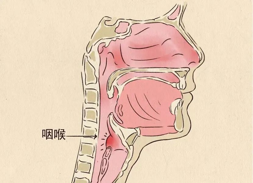 哪三种症状可以服用连花清瘟？